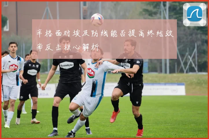 辛格面对埃及防线能否提高终结效率反击核心解析