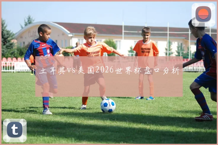 土耳其vs美国2026世界杯盘口分析