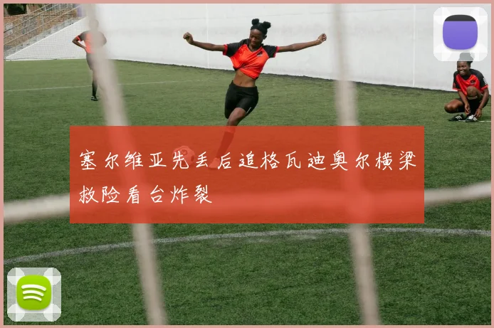 塞尔维亚先丢后追格瓦迪奥尔横梁救险看台炸裂