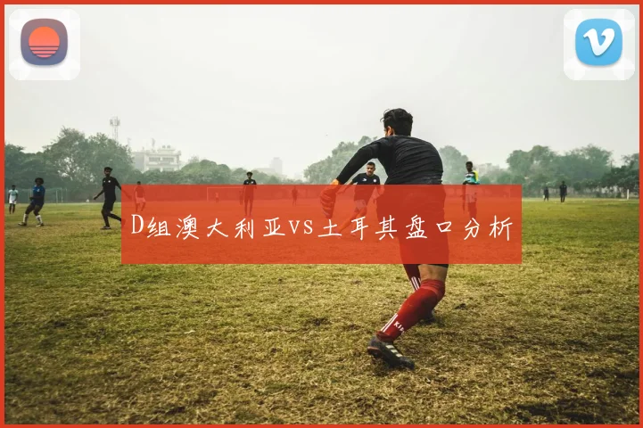 D组澳大利亚vs土耳其盘口分析