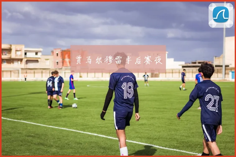 贾马尔穆雷季后赛夜