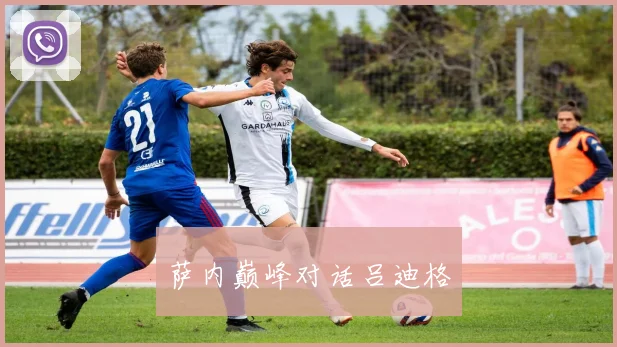萨内巅峰对话吕迪格