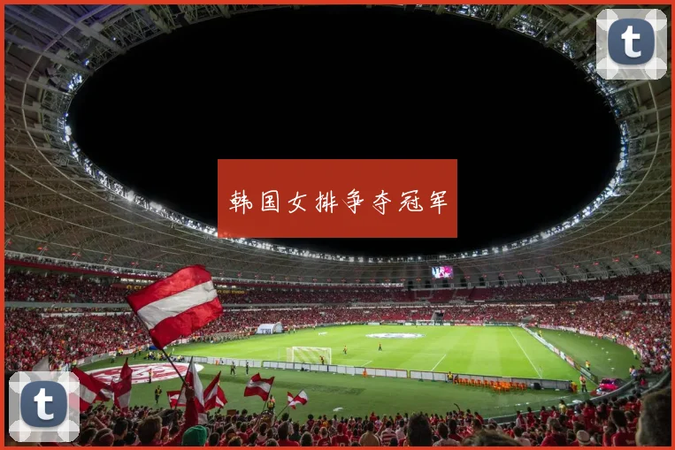 韩国女排争夺冠军