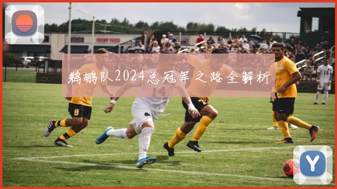 鹈鹕队2024总冠军之路全解析