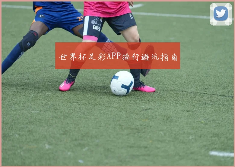 世界杯足彩APP排行避坑指南