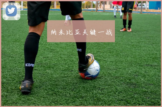 纳米比亚关键一战