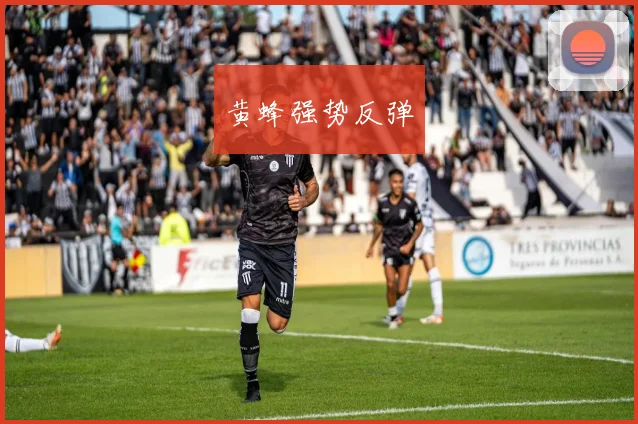 黄蜂强势反弹