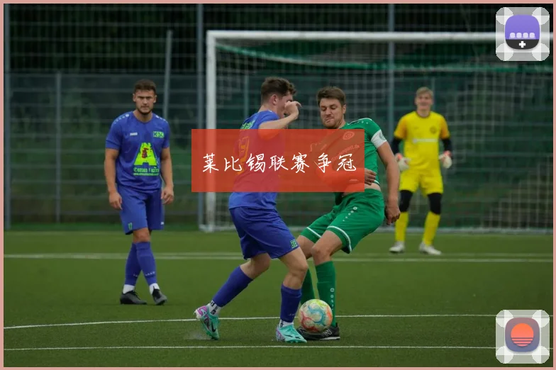 莱比锡联赛争冠