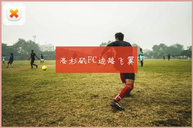 洛杉矶FC边路飞翼