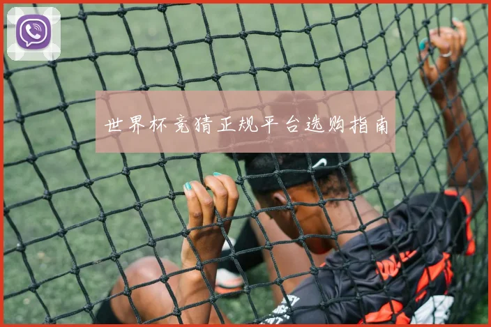 世界杯竞猜正规平台选购指南