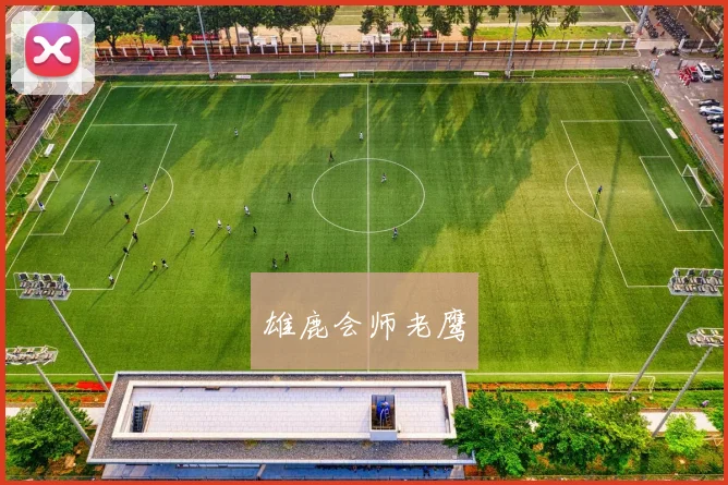 雄鹿会师老鹰