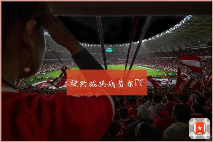 纽约城挑战首尔FC
