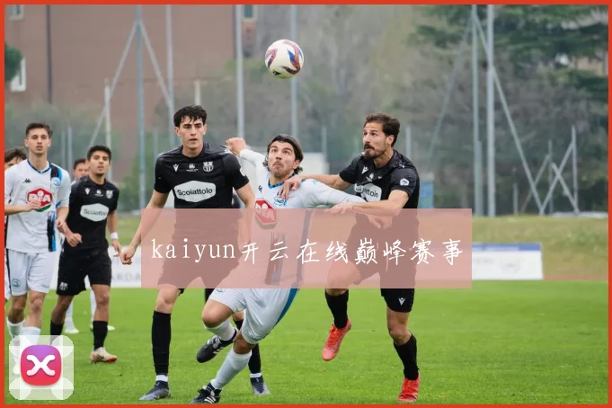 kaiyun开云在线巅峰赛事