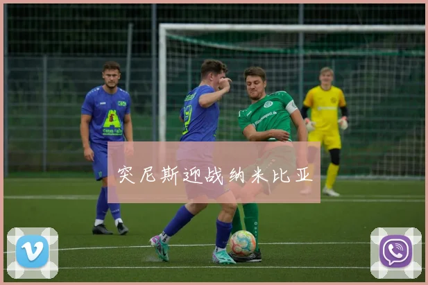 突尼斯迎战纳米比亚