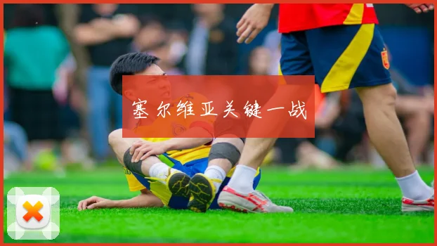塞尔维亚关键一战