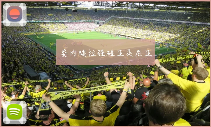 委内瑞拉强碰亚美尼亚