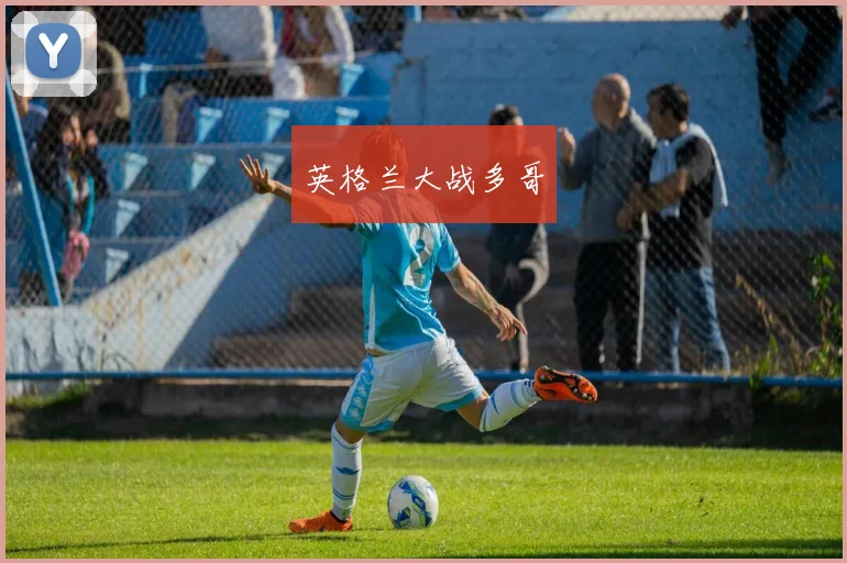 英格兰大战多哥