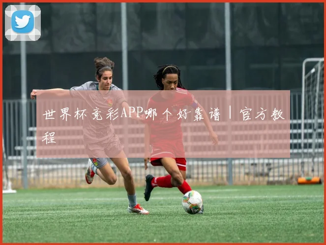 世界杯竞彩APP哪个好靠谱｜官方教程
