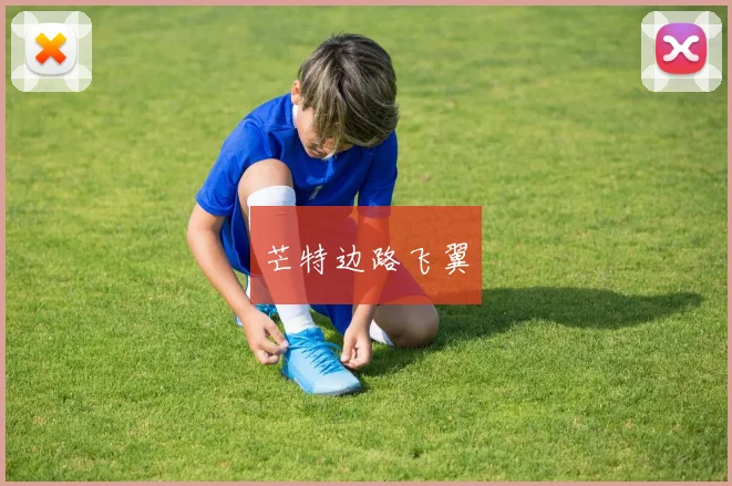 芒特边路飞翼