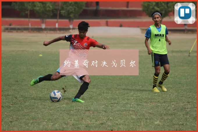 约基奇对决戈贝尔