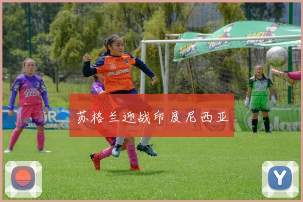苏格兰迎战印度尼西亚