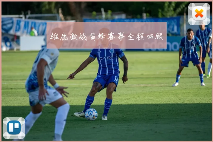 雄鹿激战黄蜂赛事全程回顾