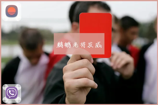 鹈鹕老将发威