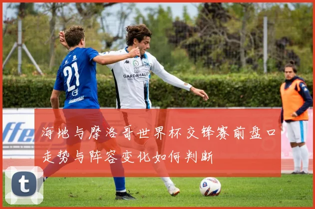 海地与摩洛哥世界杯交锋赛前盘口走势与阵容变化如何判断