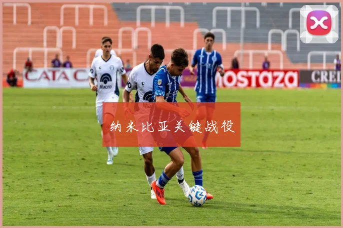 纳米比亚关键战役