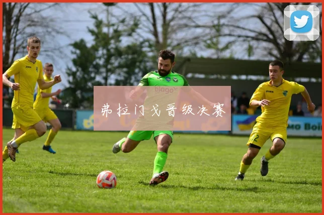 弗拉门戈晋级决赛