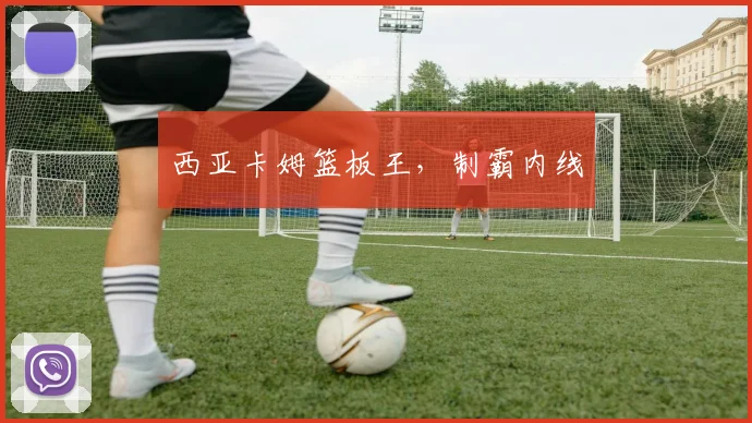 西亚卡姆篮板王,制霸内线