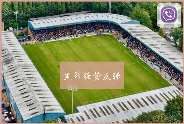 里昂强势反弹