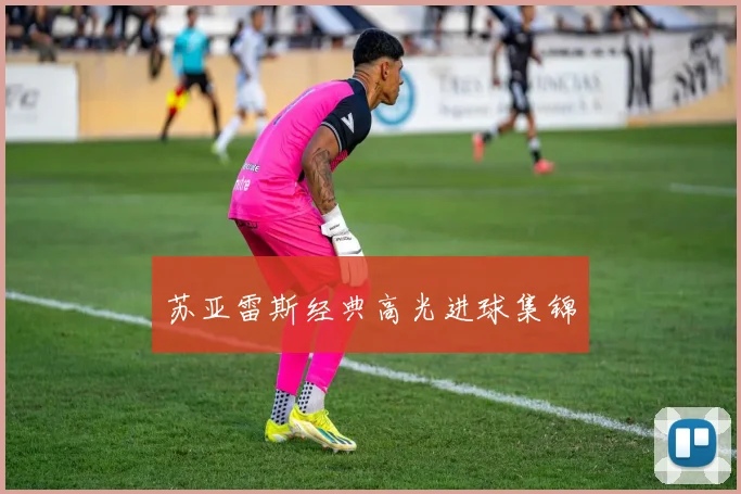 苏亚雷斯经典高光进球集锦