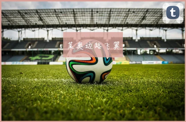 莱奥边路飞翼