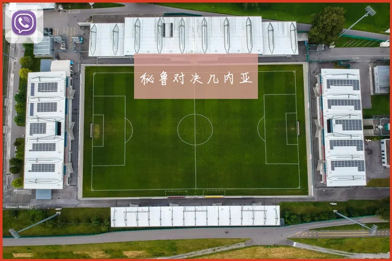 秘鲁对决几内亚