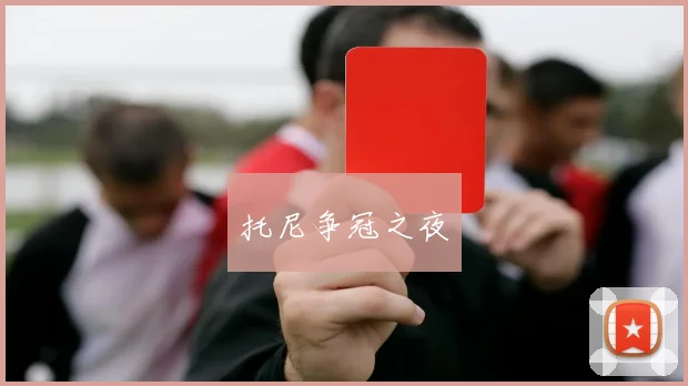 托尼争冠之夜