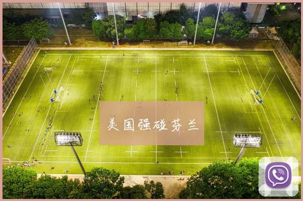 美国强碰芬兰
