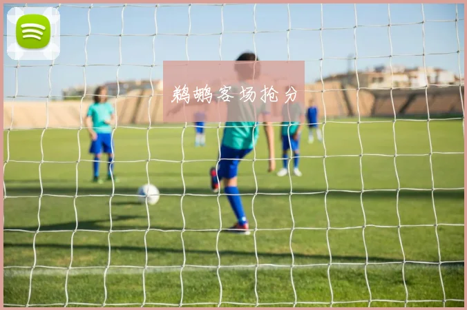 鹈鹕客场抢分