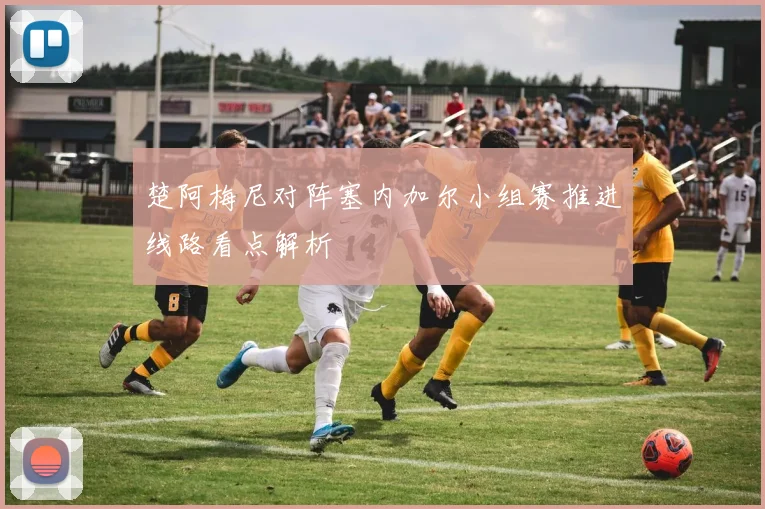 楚阿梅尼对阵塞内加尔小组赛推进线路看点解析