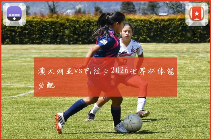 澳大利亚vs巴拉圭2026世界杯体能分配