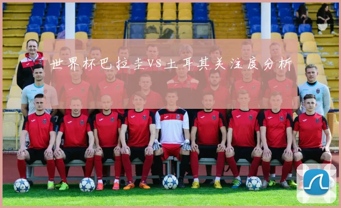 世界杯巴拉圭vs土耳其关注度分析